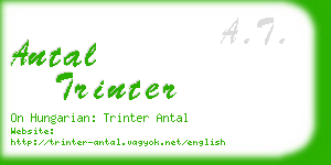 antal trinter business card